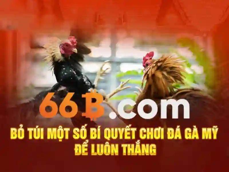 66b trong ngữ cảnh tài chính