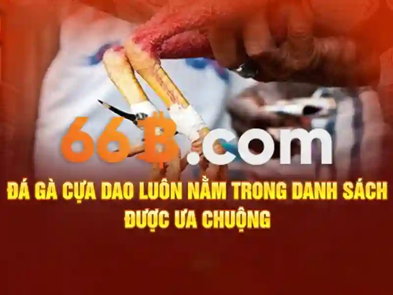 Giao diện nhà cái hoàn hảo