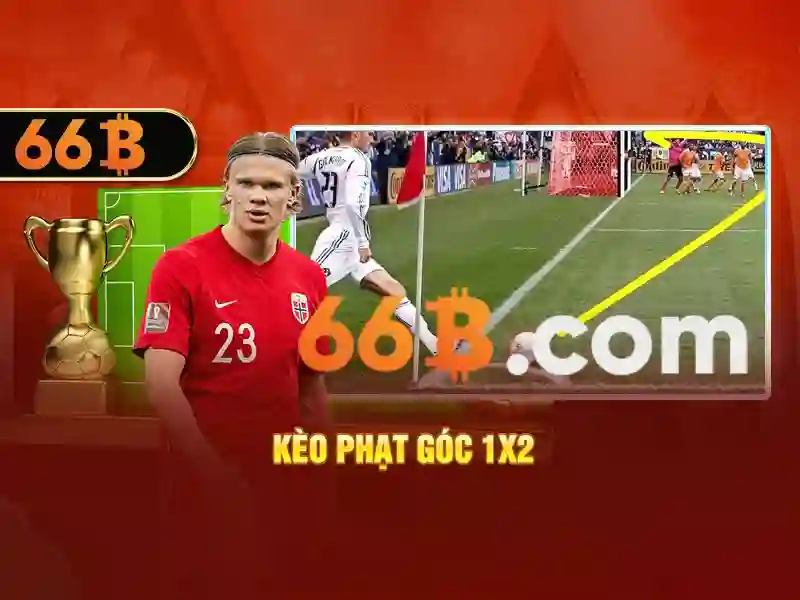 66b: khái niệm, nguồn gốc và ứng dụng Giao diện nhà cái hoàn hảo