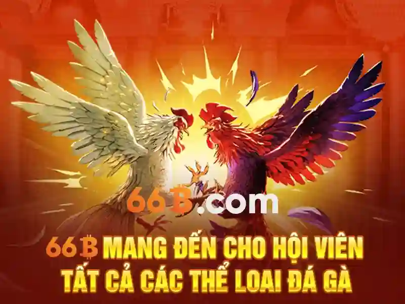 66b-dang-nhap-banner