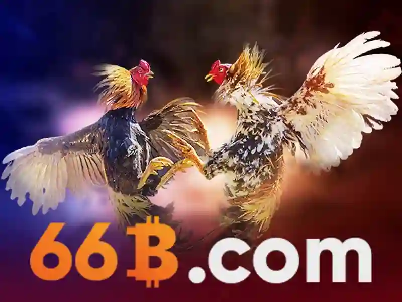 66b là một ký hiệu đầy ẩn ý