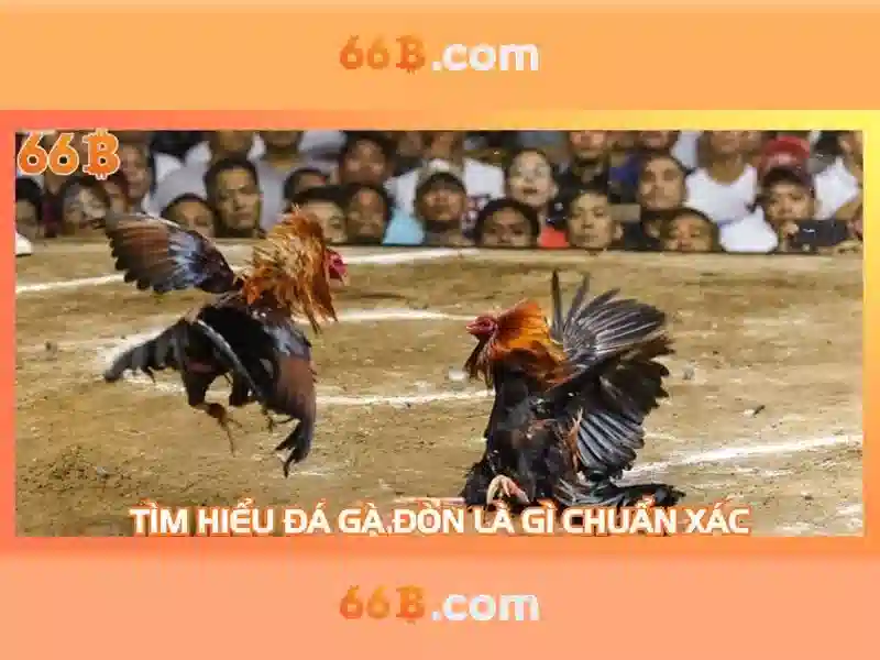 Kiến trúc và huấn luyện