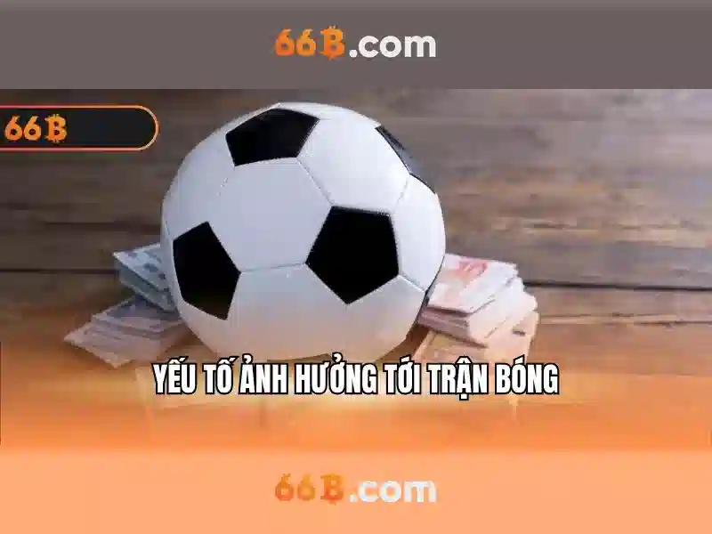 Khái niệm và kiến trúc của 66b