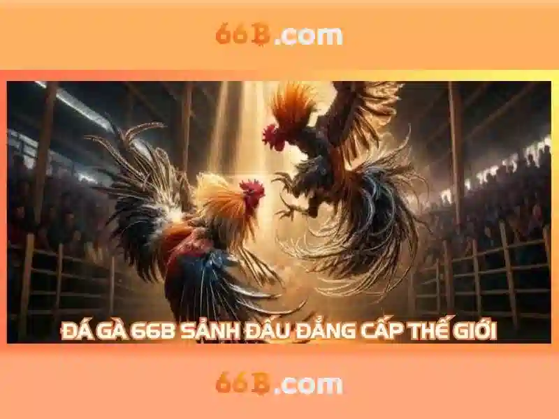 66B: Mô hình ngôn ngữ 66 tỷ tham số và những ứng dụng tiềm năng Giao diện nhà cái hoàn hảo