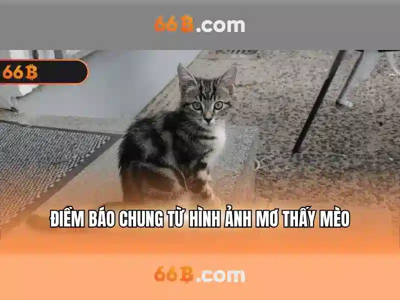 Ứng dụng và tác động trong công nghệ