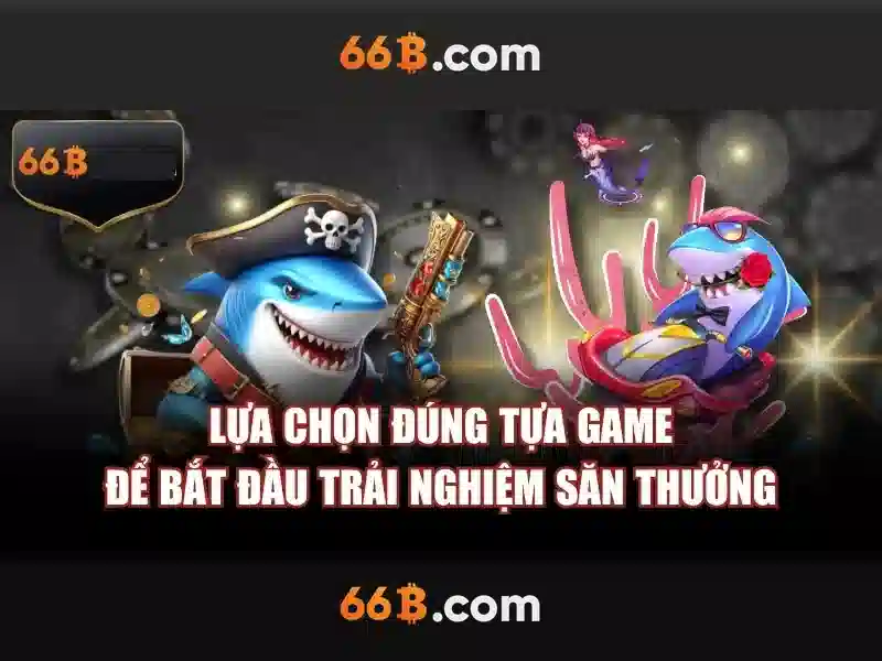 Khái niệm cơ bản về 66b