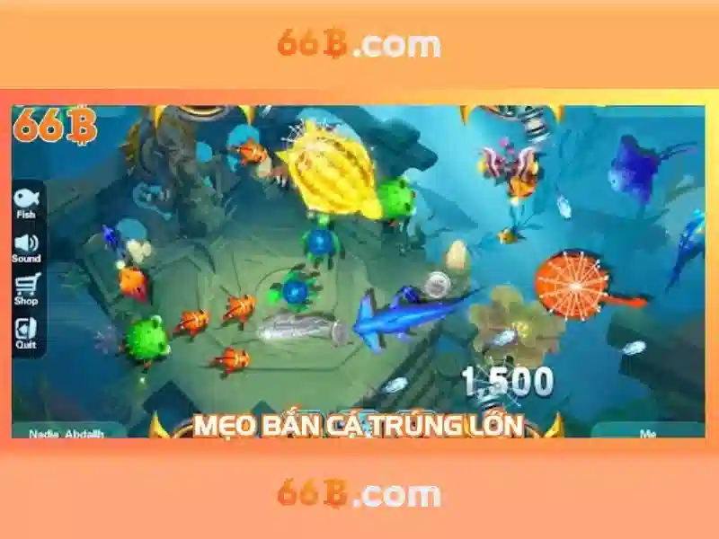 Giới thiệu về 66b