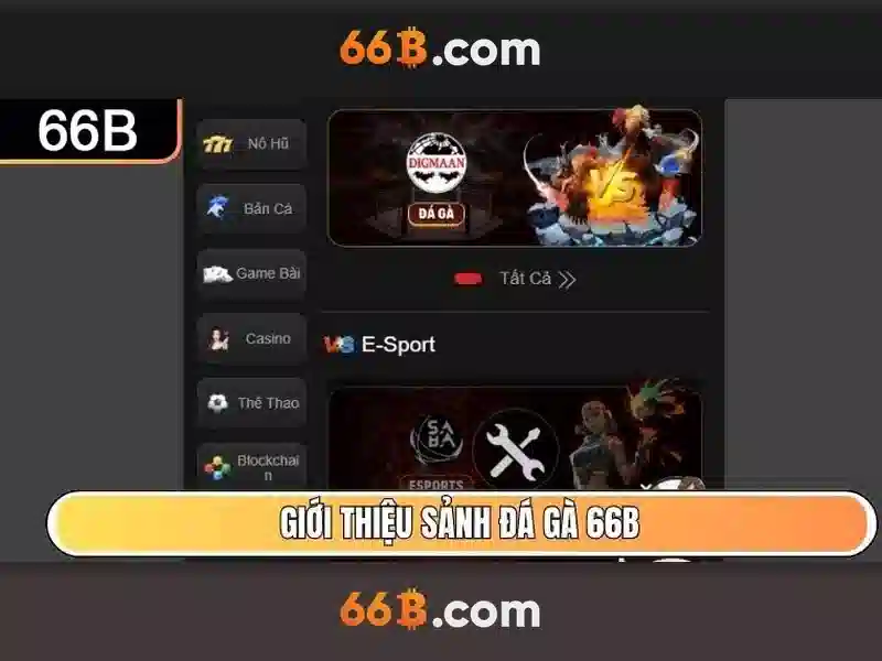 66B là gì và tại sao nó được quan tâm?