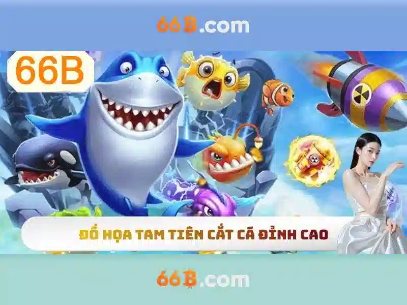 Giới thiệu về 66B