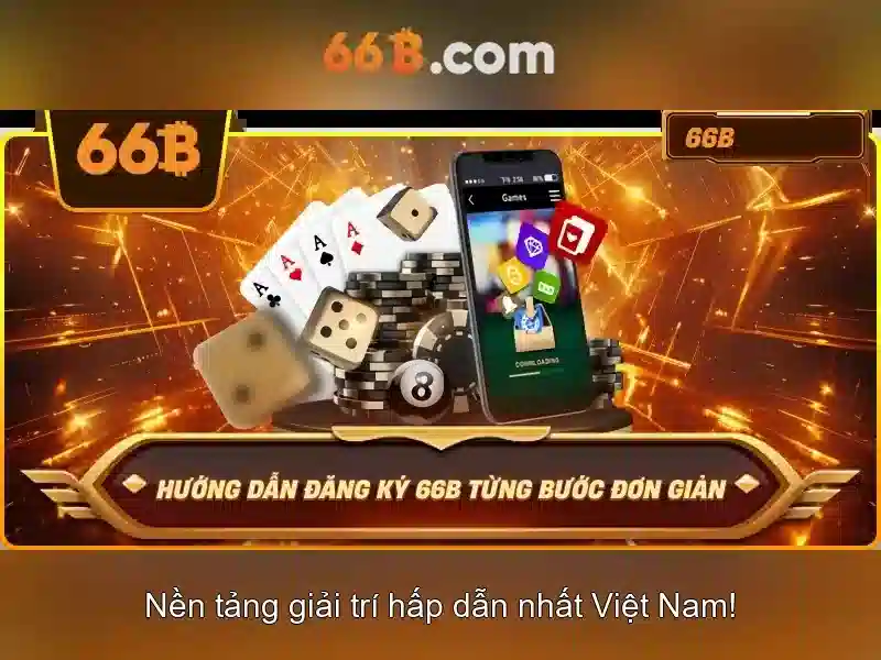 Khái niệm cơ bản về 66b