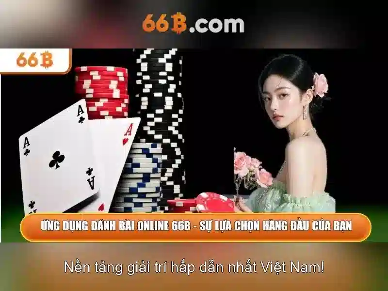 66b: Giới thiệu tổng quan