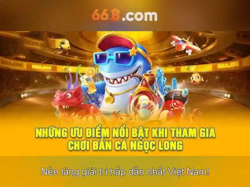 Đặc điểm chính của 66B