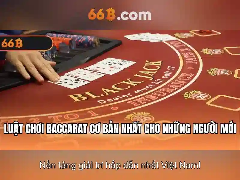 66B là gì