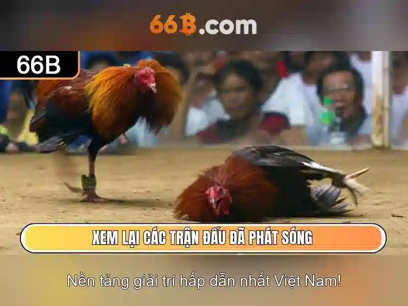 Nguồn gốc của 66b