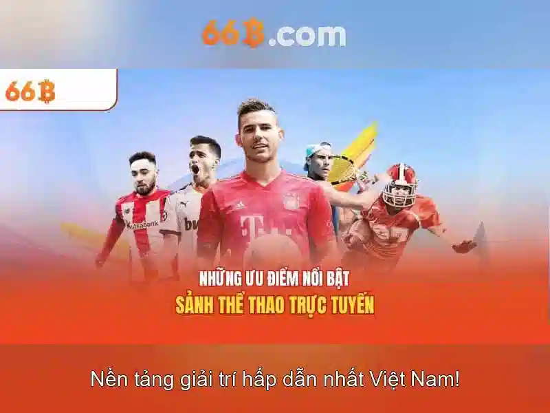 66b là gì