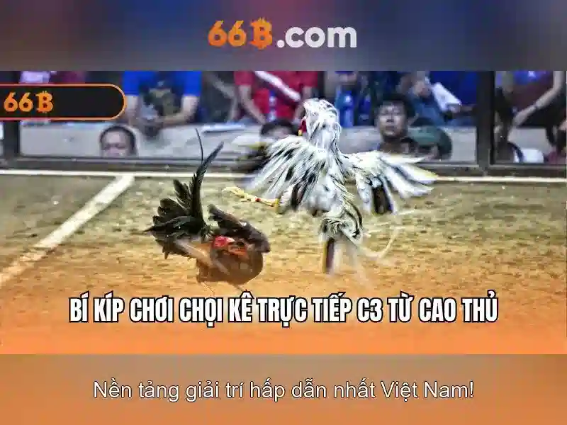 Giới thiệu về 66b
