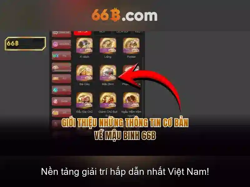 66b là gì?