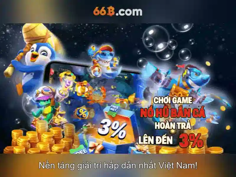 66b là gì