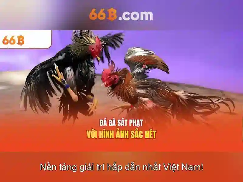 Giới thiệu về 66B