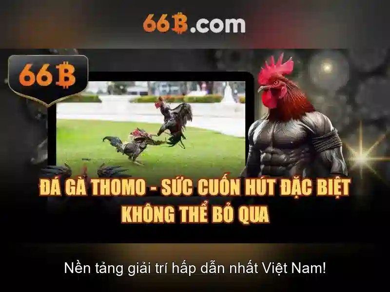 Khả năng ứng dụng và giới hạn