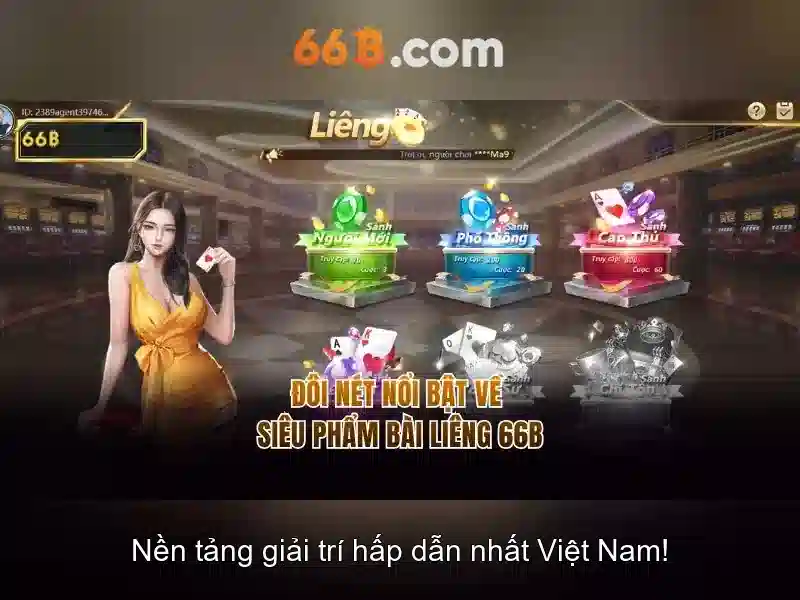 66b là gì?