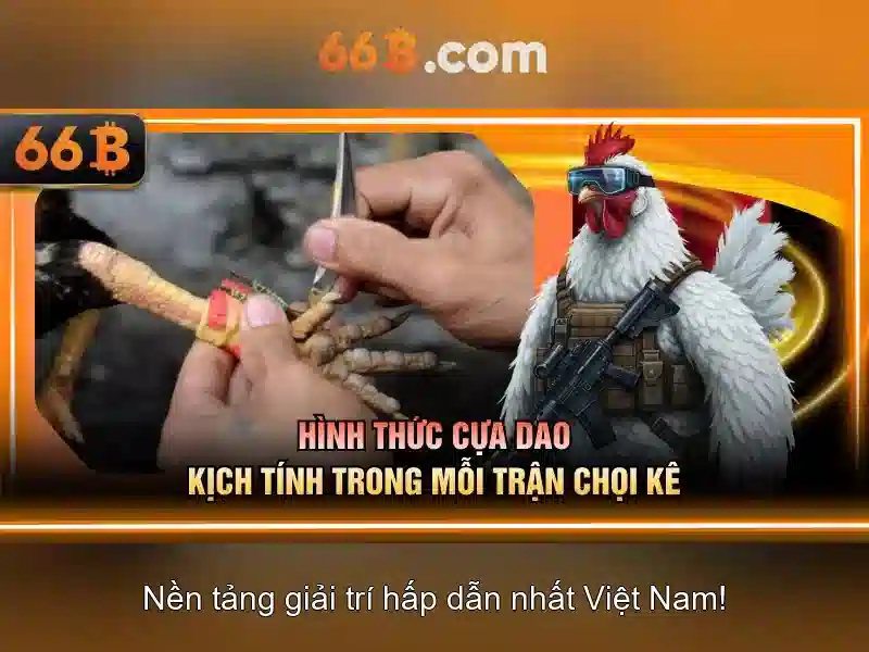 Giao diện nhà cái hoàn hảo
