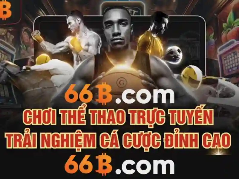 66b: một khái niệm và cuộc hành trình Giao diện nhà cái hoàn hảo