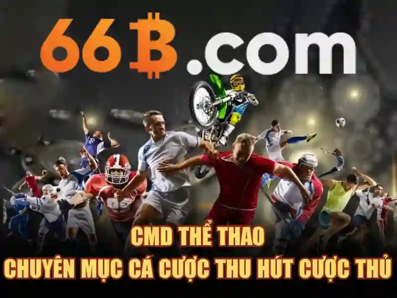 Hiệu suất và ứng dụng