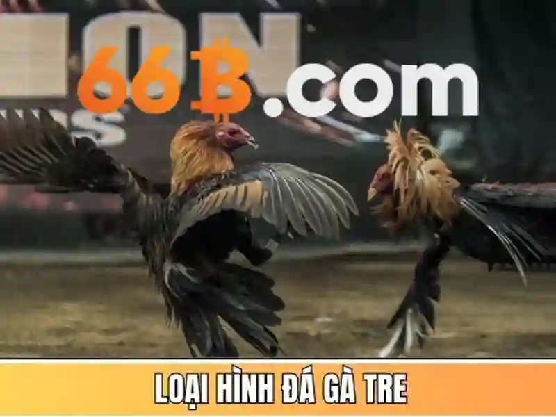 66B là một mô hình ngôn ngữ lớn có quy mô 66 tỷ tham số