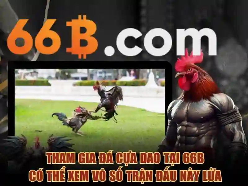 66b là gì và tại sao nó quan trọng