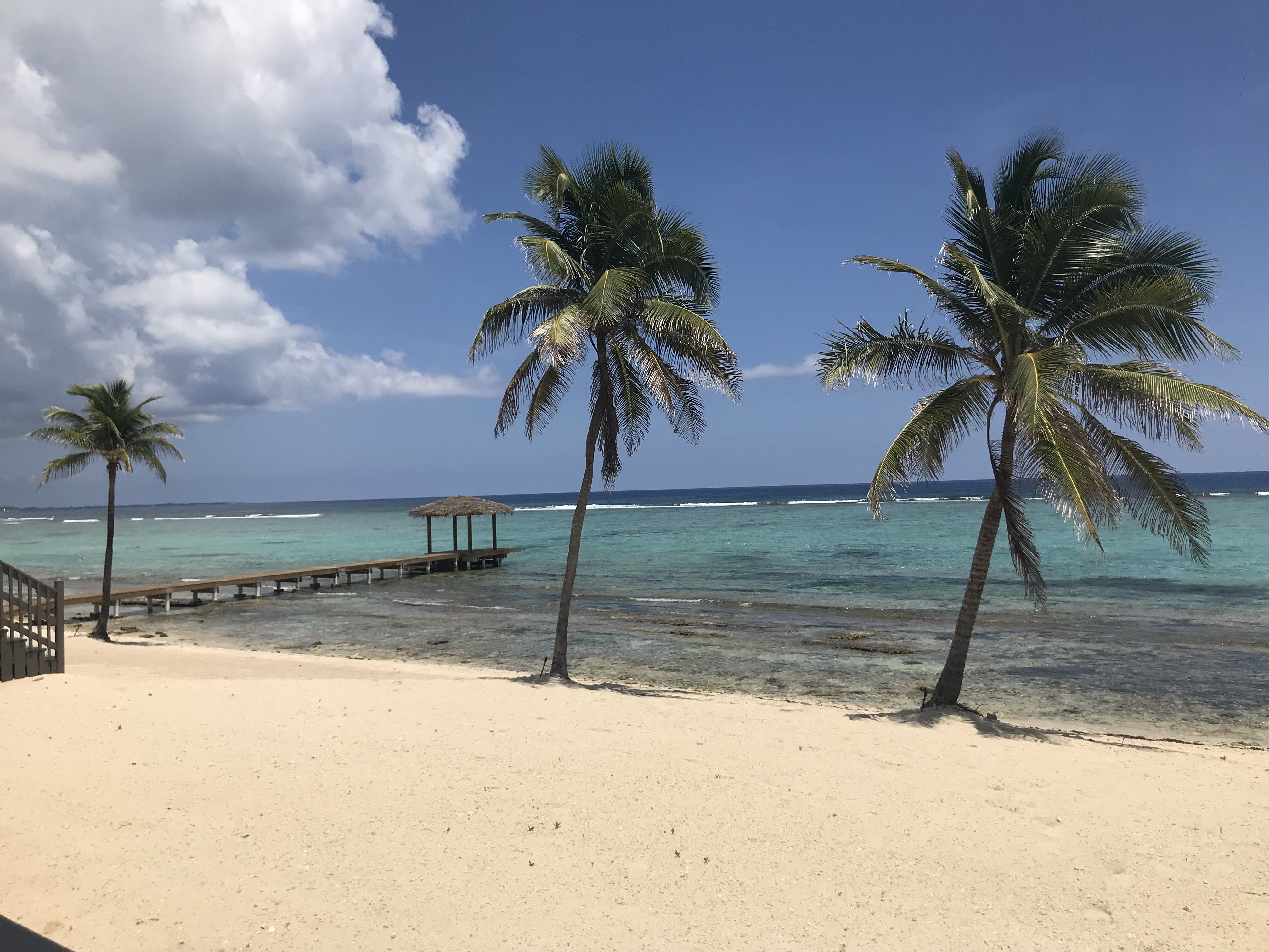 THE WANDERLUST CARIBBEAN GUIDE: The Cayman Islands